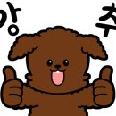 521펫살롱 이미지