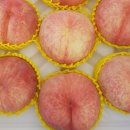 명성송이대게 이미지