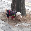 인천향교회관 이미지