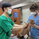 경동동물병원 이미지