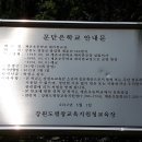 계촌초 대미분교장 이미지