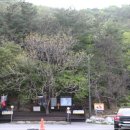 정가네두부 - 달서구 | 정가네두부