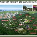 (유)시티관광 이미지