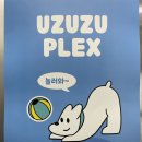 광주 애견유치원 서구 농성동 우쭈쭈플렉스 강아지호텔 추천