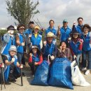 마장 매화둘레길 이미지