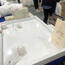 가스트로플러스코리아 | 4년차 궁팡러의 궁디팡팡캣페스타 (2편) 장난감, 간식, 총평