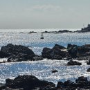 일광해수욕장4 이미지