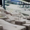 골드쉘광명