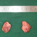 연세위드이비인후과의원 이미지