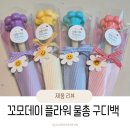 올데이플라워 - 목포시 텃골로33번길 92 | 어린이집구디백으로 딱이었던 꼬모데이 플라워 물총 구디백 후기 🌸