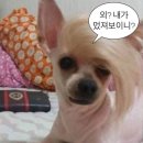 복 이미지