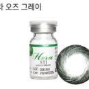 오즈그래픽 이미지