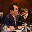 정세균 카카오 검색결과