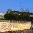 엔조이식당 이미지