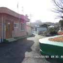 대동경노당 Daum카페