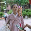 금은다방 이미지