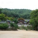 도산래프팅;도산민박 이미지