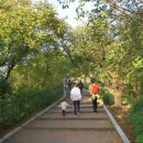 화원유치원 이미지