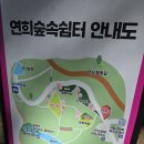 숲속쉼터 티스토리