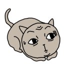 토라네코 이미지