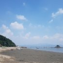장봉항 (장봉선착장) 네이버블로그