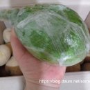 대붕농장 이미지