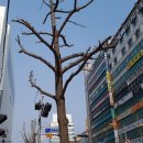 스튜디오가가