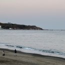 해송피크닉장 이미지