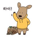 스타밸리캠핑장 이미지
