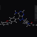 Seed of Li 이미지