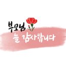 평화 어린이집 이미지