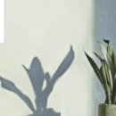 동양여인숙 이미지