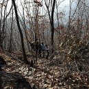 용정농장 이미지