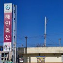 합천식당 | 합천 맛집! 해인 축산 한우식육식당에서 즐긴 식사 후기