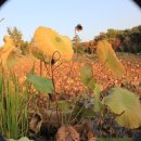 너른마당1 이미지