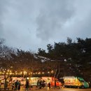 현대자동자써비스 | 울산의 밤 크리스마스마켓 울산대공원 주차 행사 방문 후기