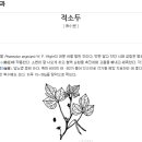 다원식품 이미지