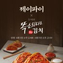 파이코퍼레이션