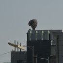 부용산 | [벌교 맛집] 부용산 꼬막식당, 모리씨 빵가게 / 보성 녹차밭