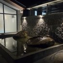 스테이 소야 이미지