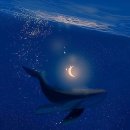 쉽게 배우는 유화 이미지