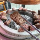 한우암소농장 이미지