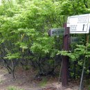 호룡곡산 구름다리 이미지