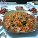 이것이코다리다 Daum카페