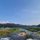 이병남진천장터순대