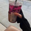 프루츄 이미지