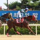 트리플나인