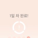 자라나다 | 32주차 임신기록 태교앱 자라나다 어플 이용후기