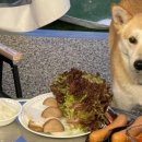 포천파리바게뜨 이미지