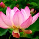 새만금공인중개사사무소 이미지